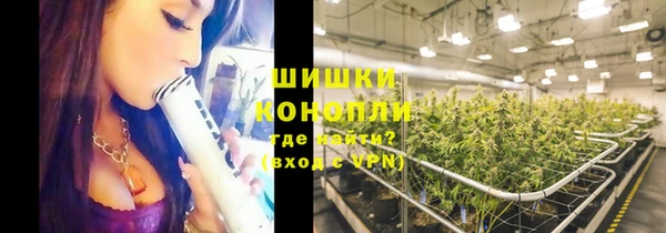 PSILOCYBIN Абаза